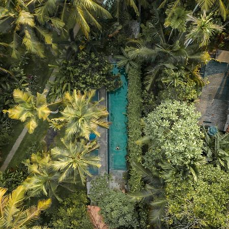 Dreamtime Hotel Hikkaduwa Buitenkant foto