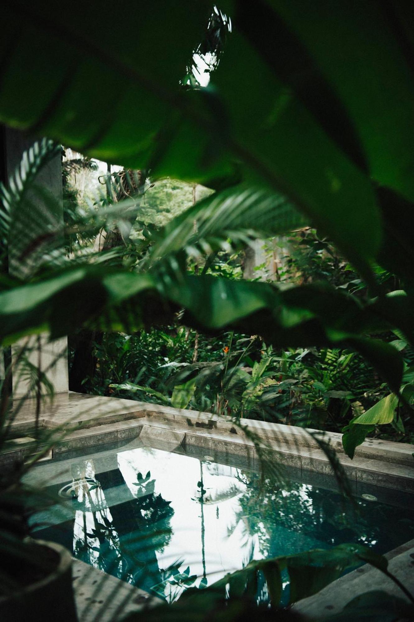 Dreamtime Hotel Hikkaduwa Buitenkant foto
