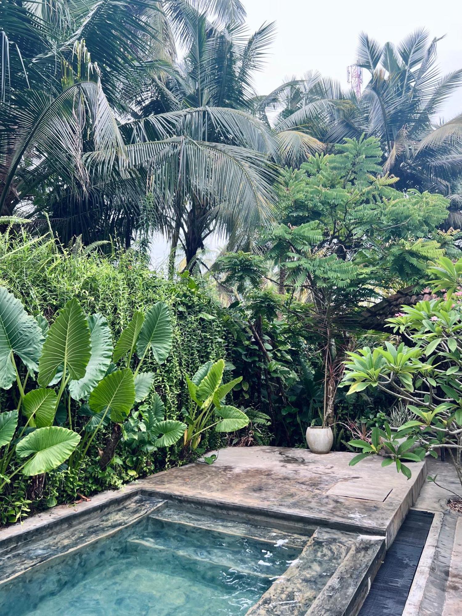 Dreamtime Hotel Hikkaduwa Buitenkant foto