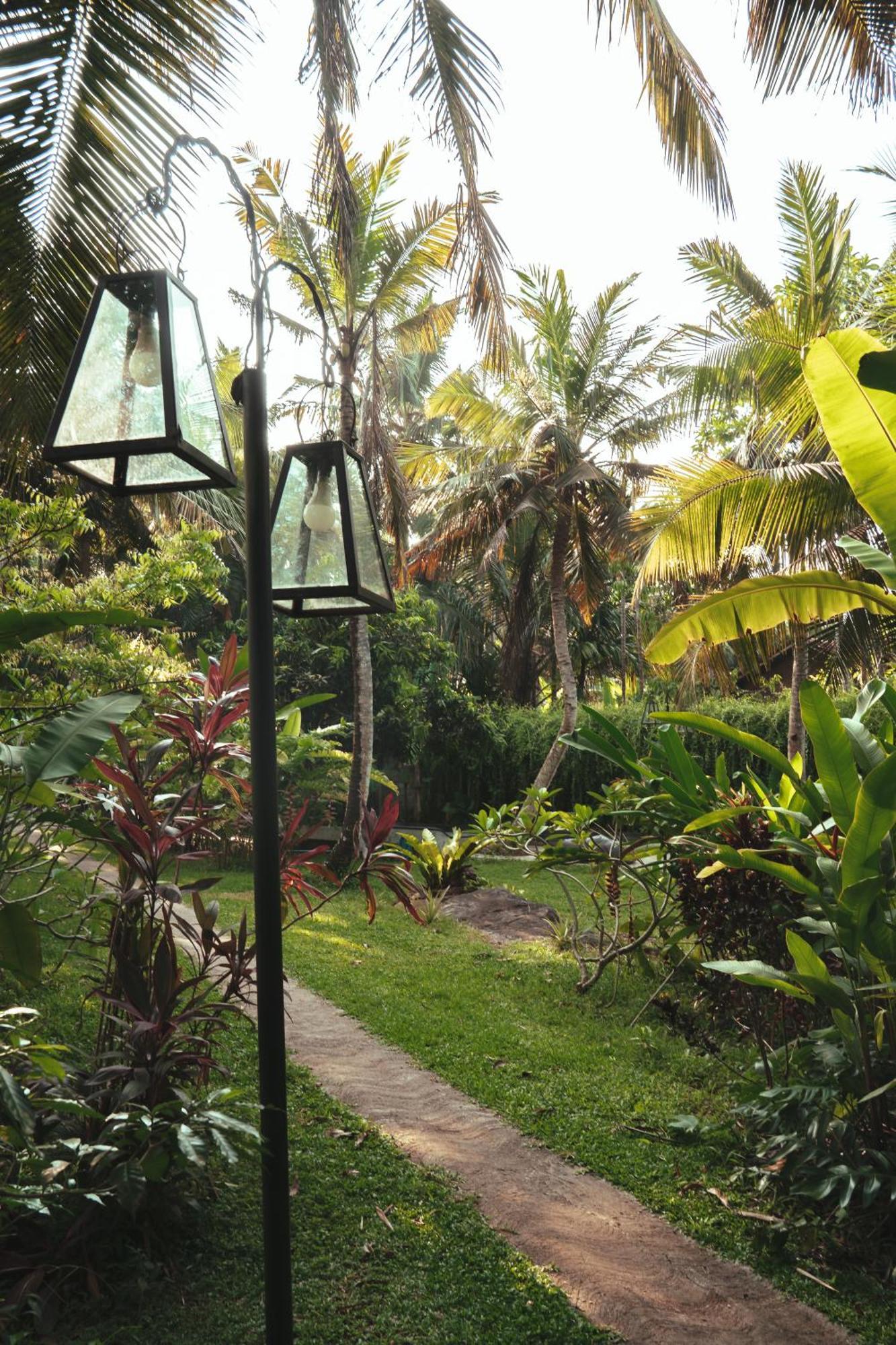 Dreamtime Hotel Hikkaduwa Buitenkant foto