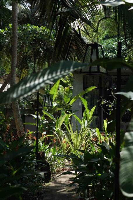 Dreamtime Hotel Hikkaduwa Buitenkant foto