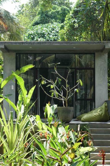 Dreamtime Hotel Hikkaduwa Buitenkant foto