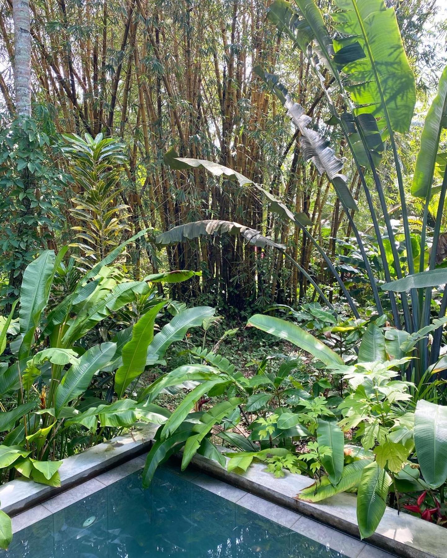 Dreamtime Hotel Hikkaduwa Buitenkant foto