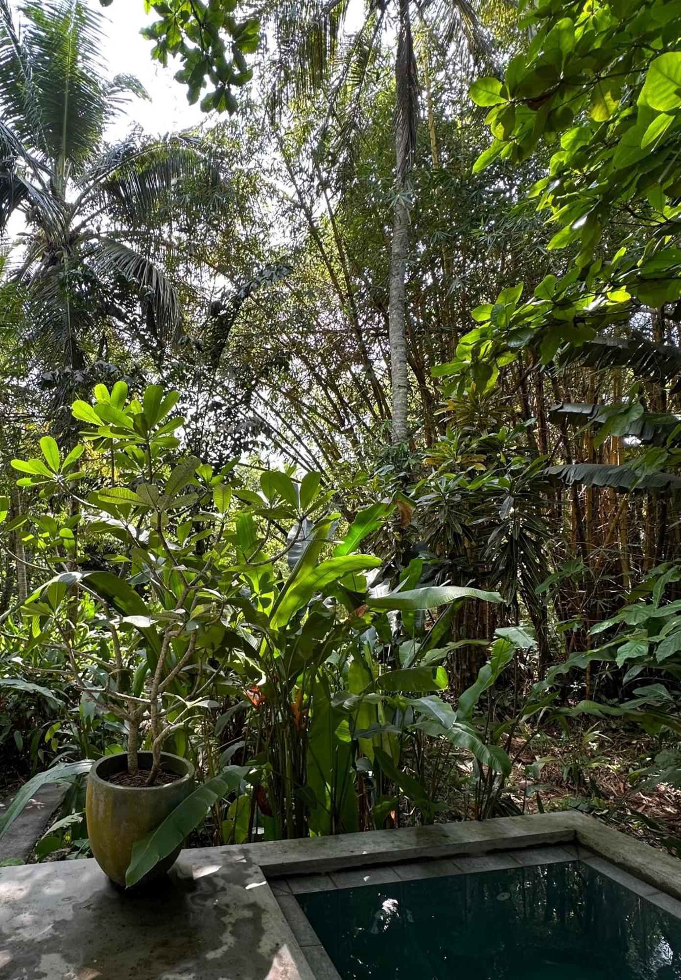 Dreamtime Hotel Hikkaduwa Buitenkant foto
