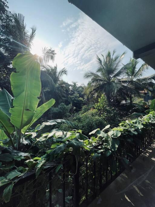 Dreamtime Hotel Hikkaduwa Buitenkant foto